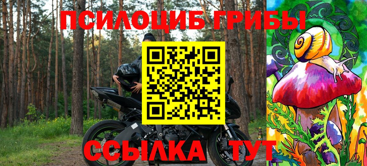 Псилоцибиновые грибы Psilocybe Анапа