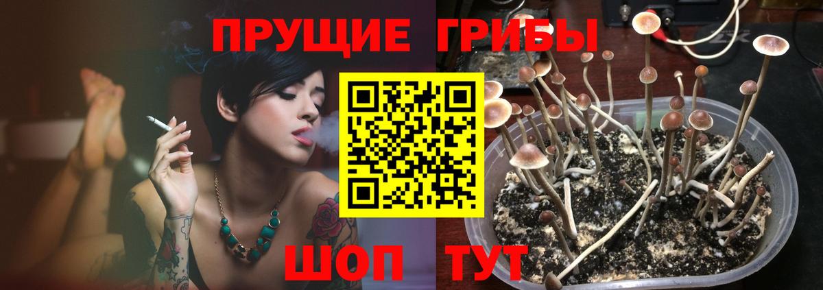 Анапа  Галлюциногенные грибы Psilocybine cubensis  Псилоцибиновые грибы Cubensis  Вход с VPN 